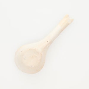 散蓮華 志野 0736