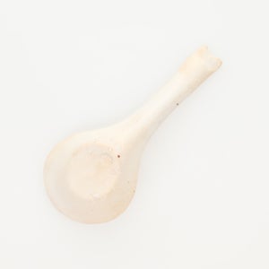 散蓮華 志野 0739