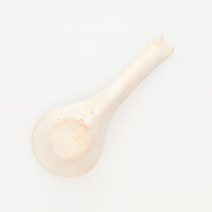 散蓮華 志野 0740