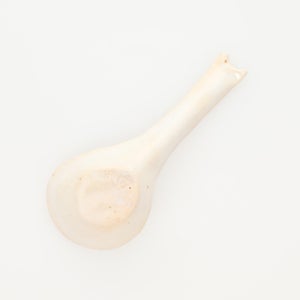 散蓮華 志野 0741