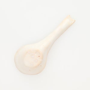 散蓮華 志野 0742