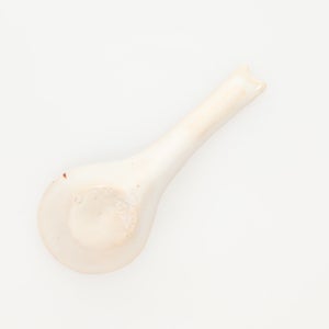 散蓮華 志野 0744