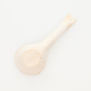 散蓮華 志野 0746