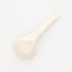 散蓮華 志野 0775