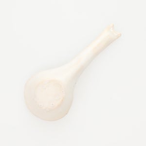 散蓮華 志野 0776