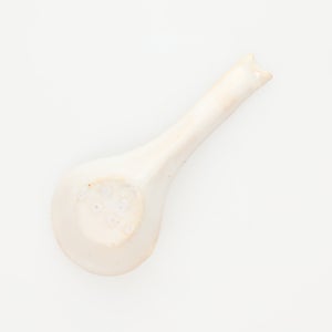 散蓮華 志野 0777