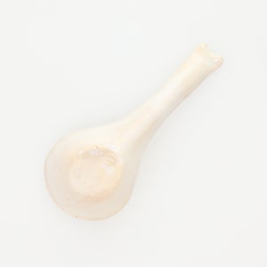 散蓮華 志野 0780