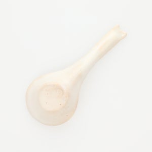 散蓮華 志野 0782