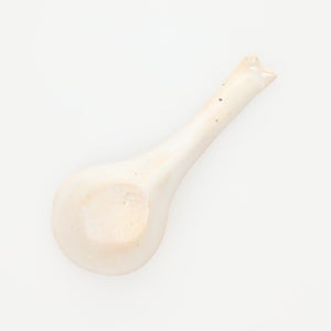 散蓮華 志野 0783