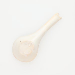 散蓮華 志野 0784