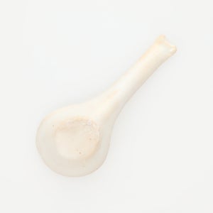 散蓮華 志野 0785