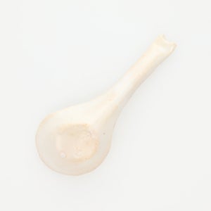 散蓮華 志野 0786