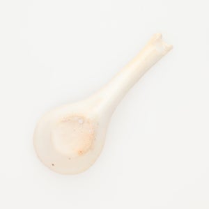 散蓮華 志野 0789