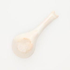 散蓮華 志野 0790