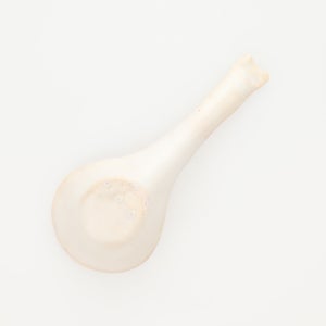 散蓮華 志野 0791