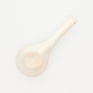 散蓮華 志野 0793