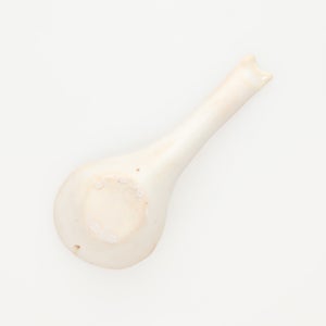 散蓮華 志野 0794