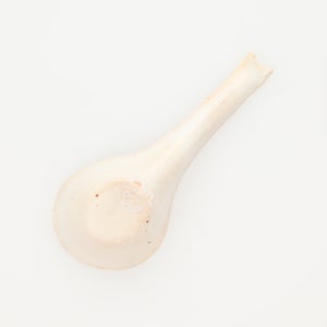 散蓮華 志野 0802