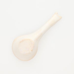 散蓮華 志野 0803