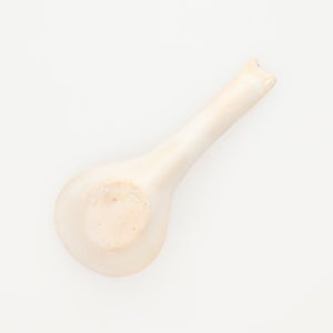 散蓮華 志野 0805