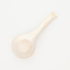 散蓮華 志野 0807