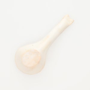 散蓮華 志野 0808