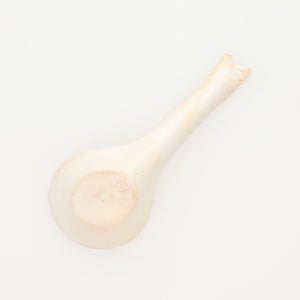 散蓮華 志野 0809