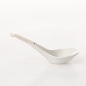 散蓮華 志野 0687