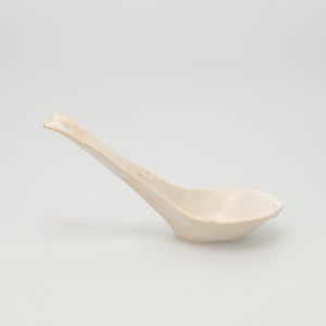 散蓮華 志野 0717