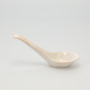 散蓮華 志野 0808