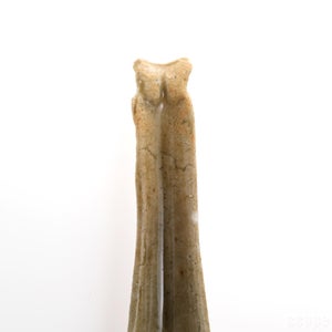 散蓮華 松灰 0515