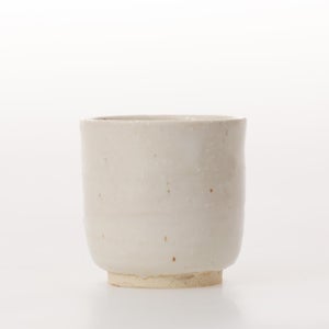 丸湯呑 志野 0231