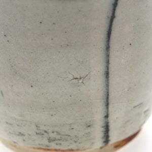 丸湯呑 呉須鉄太十草 0324