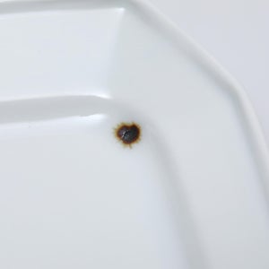 隅切 長角 0257