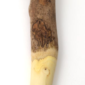 擂粉木 16.5cm 山椒 0432