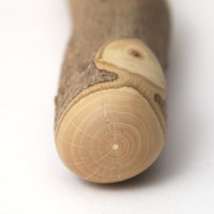 擂粉木 24cm 山椒 0238