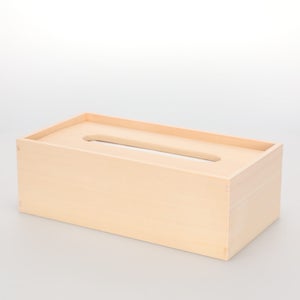 ティシューの匣 0152
