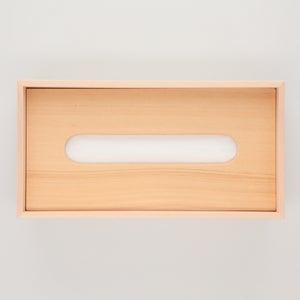 ティシューの匣 0102