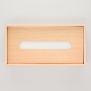 ティシューの匣 0081