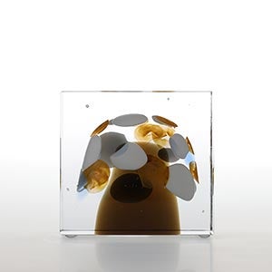 Annual cube 2020 0294