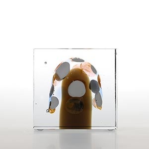 Annual cube 2020 0345