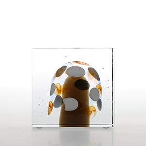 Annual cube 2020 0361
