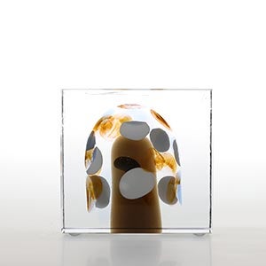 Annual cube 2020 0398