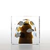 Annual Cube 2020 No.342