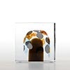 Annual Cube 2020 No.380