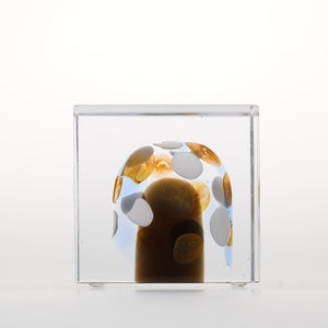 Annual Cube 2020 0380