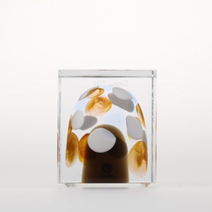 Annual Cube 2020 0400