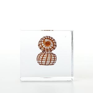 Annual cube 2022 0077