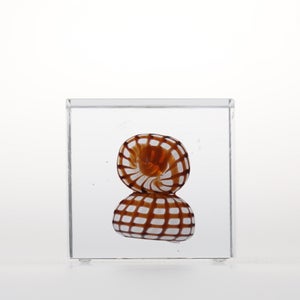 Annual Cube 2022 0104