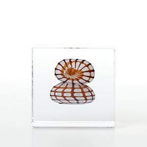 Annual cube 2022 0144